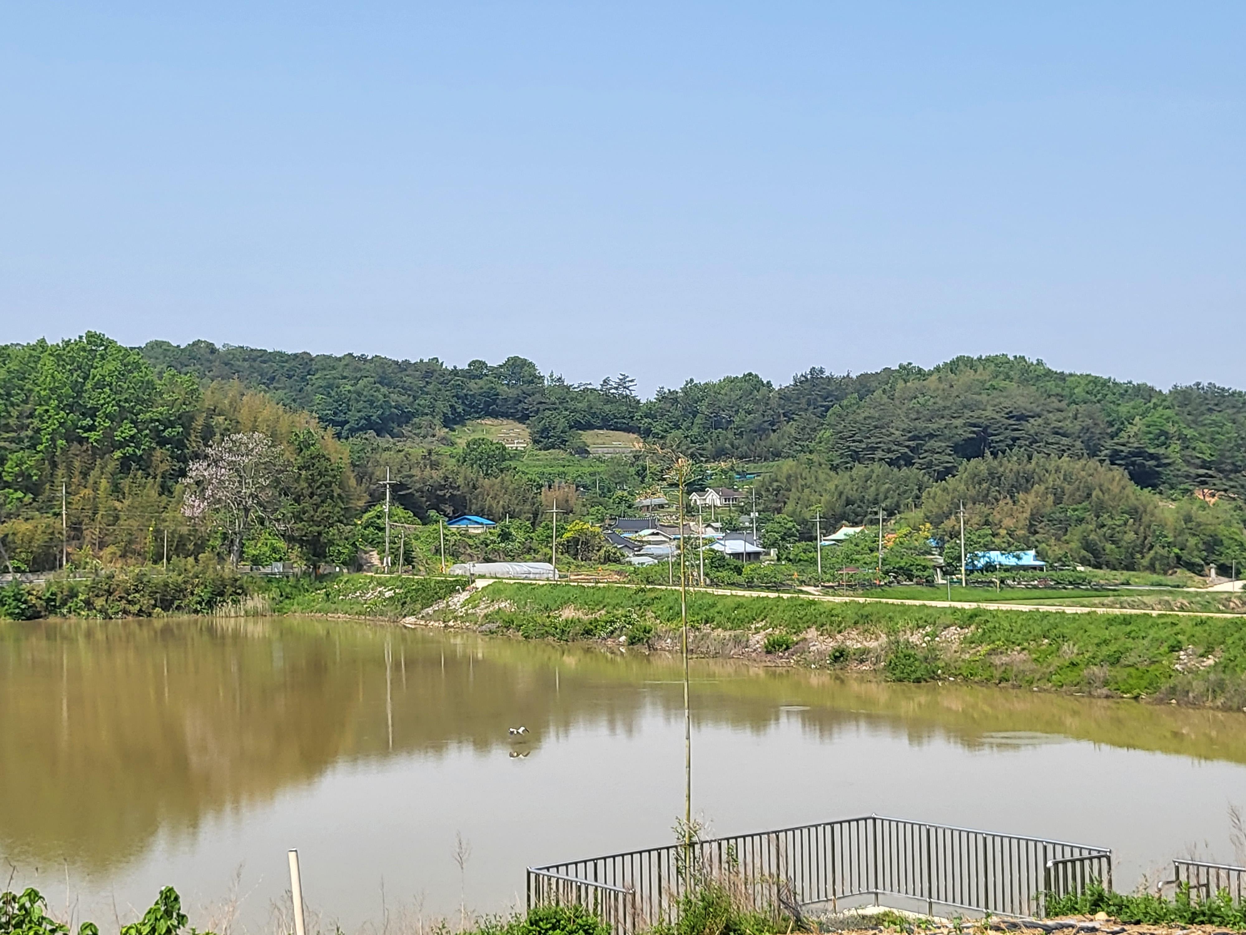 이천1리